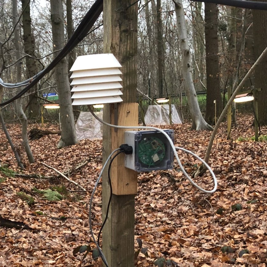 Image of the MIRRA sensor system in a forest.