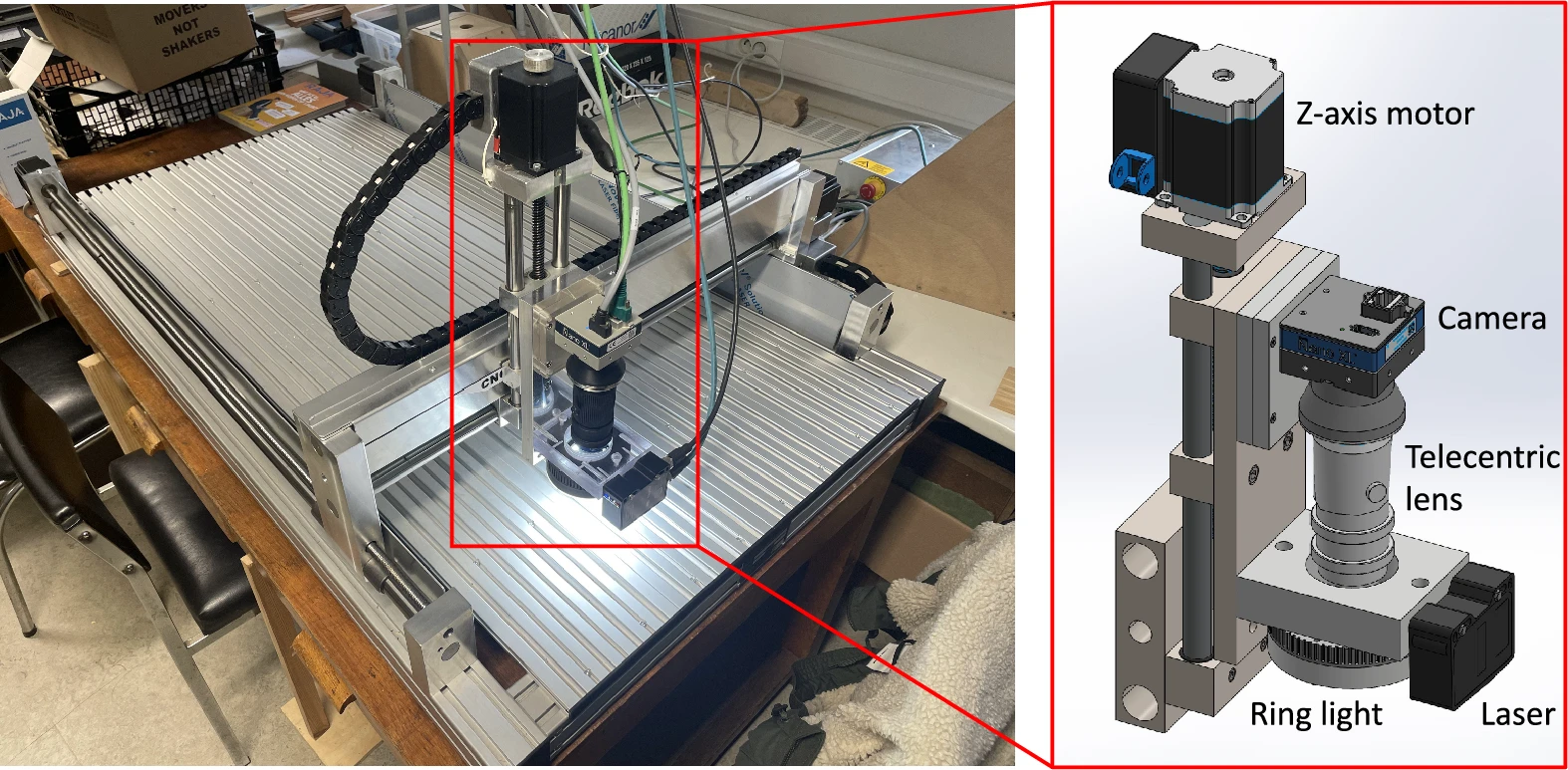 High-throughput wood anatomy pipeline