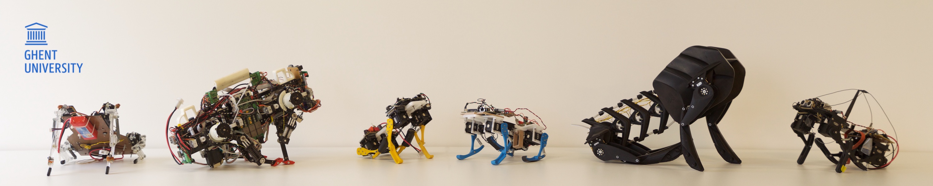 A collection of compliant quadruped robots