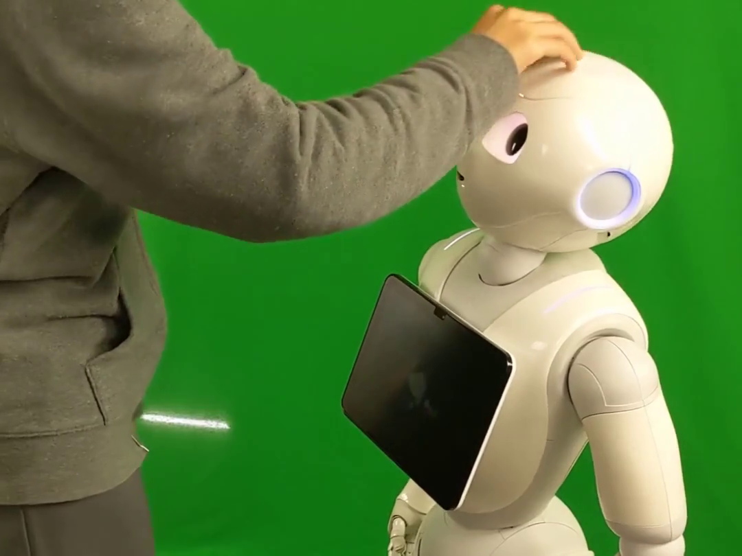 We explore different touch interactions with the Pepper robot.
